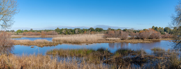 panorama view of Donana National Park wetlands