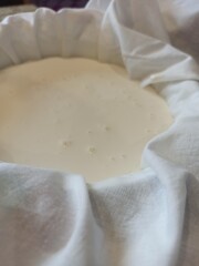 Homemade cream cheese by hands, tutorial making cheese