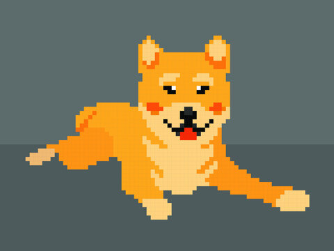 Vector pixel art Shiba Inu dog isolated on gray background.
