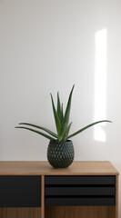 Aloe vera in green modern pot placed on danish design wooden sideboard in natural light against white wall