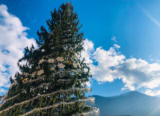 Brasov ., Transylvania , Romania 