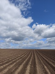 Beautiful plowed field and blue sky with clouds, nature background, landscape. Agriculture topic
