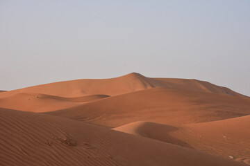 Fototapeta na wymiar Waves of sand dune in Al Ain desert, UAE