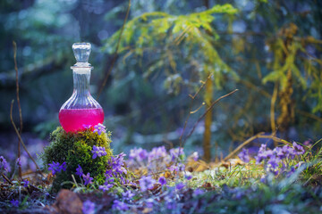 magic potion in bottle in  fairy forest
