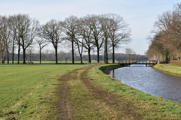 Canal side view of a peaceful scene with tall leafless trees crossing the horizon