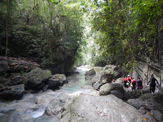 jungle river