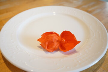 Mit ihren orangefarbenen Lampions ist die Physalis alkekengi eine klassische Herbststaude mit unvergleichlichem Charme. Die Lampionblume gehört der Gattung der Blasenkirschen (Physalis) 