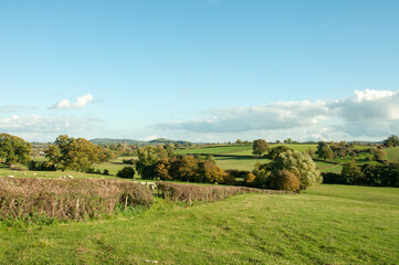 Countryside landscape in Herefordshire, England.