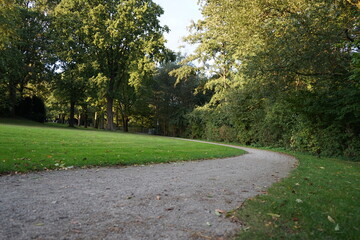 a park landscape with lush meadows