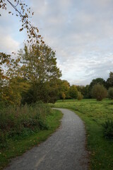 a park landscape with lush meadows