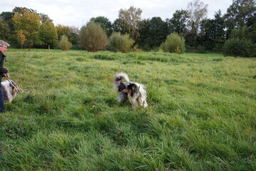 
a beautiful sky with clouds