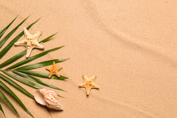 Fototapeta na wymiar Palm leaf, starfishes, seashell and space for text on beach sand, flat lay. Summer vacation