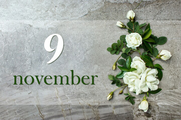 November 9th. Day 9 of month, Calendar date. Stylish roses flat lay. White roses border on pastel...