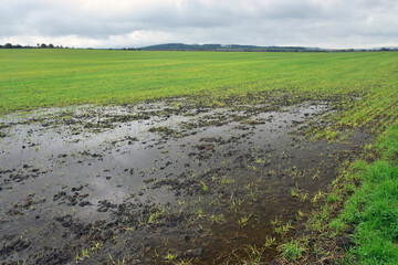 water on field land landscape