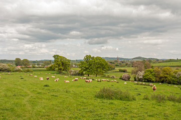 Obraz premium View of the village in the summer