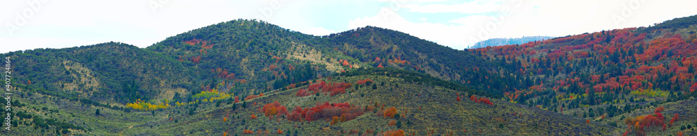 Poster mesmerizing panoramic shot of mountains with colorful trees in autumn