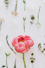 Hello spring. Stylish peony, roses and eucalyptus flowers composition on white wood flat lay