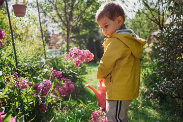 Toddler boy watering flowers in the garden 