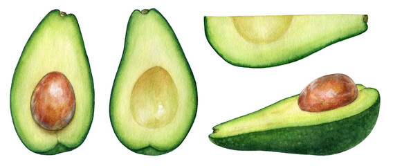 Watercolor illustration of avocado pieces