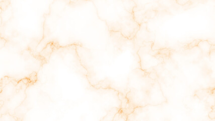 abstract marble texture background vector