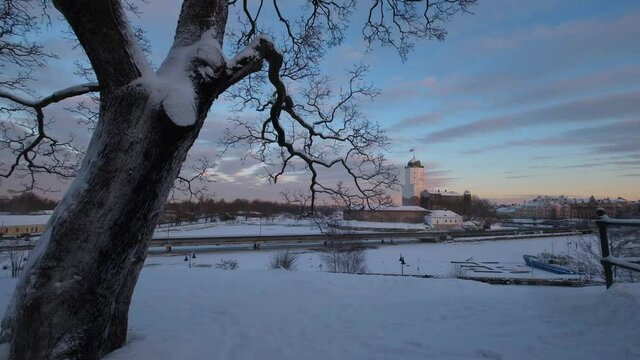 Lovely tree on background Castle in the city of Vyborg in winter on the island of the Gulf of Finland on sunset.
