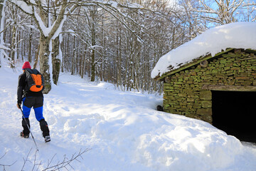 senderista montañero con bastones en la nieve  país vasco 4M0A6745-as21