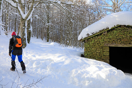 senderista monta&ntilde;ero con bastones en la nieve  pa&iacute;s vasco 4M0A6745-as21