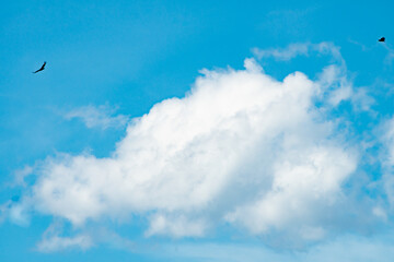 Blue sky background with clouds