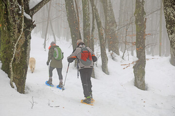 senderistas montañeros persona mayor con bastones y raquetas en la nieve niebla país vasco...