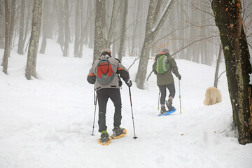 senderistas montañeros persona mayor con bastones y raquetas en la nieve niebla país vasco...
