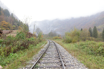 Train tracks and logs pilled up