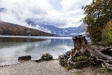 Fototapeta na wymiar Bled and Bohinj lake in Slovenia