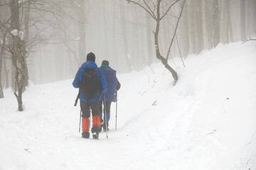 senderistas montañeros con bastones en la nieve niebla país vasco 4M0A7225-as21