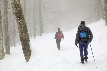 senderistas montañeros con bastones en la nieve niebla país vasco 4M0A7232-as21