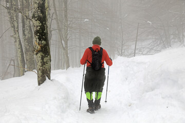 senderista montañero con bastones en la nieve niebla  país vasco 4M0A7268-as21