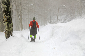 senderista montañero con bastones en la nieve niebla  país vasco 4M0A7272-as21