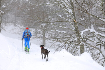 esquiador  esquí de montaña alpino fuera pista con perro país vasco 4M0A7361-as21
