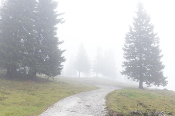 Moody foggy landscape in Slovenia