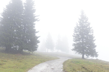 Moody foggy landscape in Slovenia