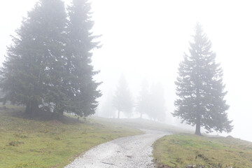 Moody foggy landscape in Slovenia