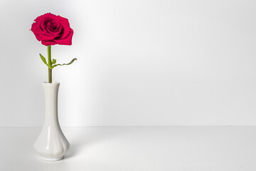 One red rose in a delicate white vase on a white background