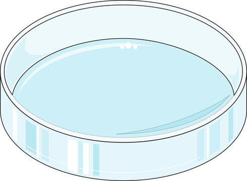 Blue petridish without a cover used in microbiology cell culture