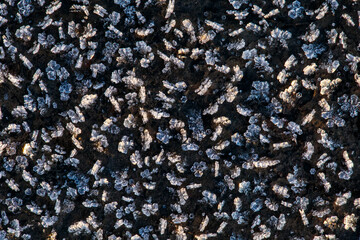 White ice crystals close up on a black background
