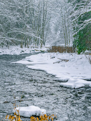 Fototapeta premium The frozen ilztal