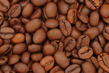 coffee beans close up