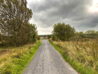 Rain clouds, gathering on the hill tops, with old trees, and wild grasses near, Otley, Yorkshire, UK