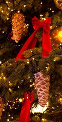 decorations on the Christmas tree.