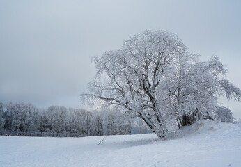 Beautiful winter landscape in the Lusatian mountains, czech republic.
