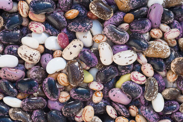 Shelled ripe seeds of kidney bean on heap. Pile of dry raw seeds of haricot (Phaseolus vulgaris) as natural background. Macro close-up. Organic farming, healthy food, BIO viands, back to nature.