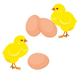 Chickens and eggs. Easter eggs and yellow chickens
